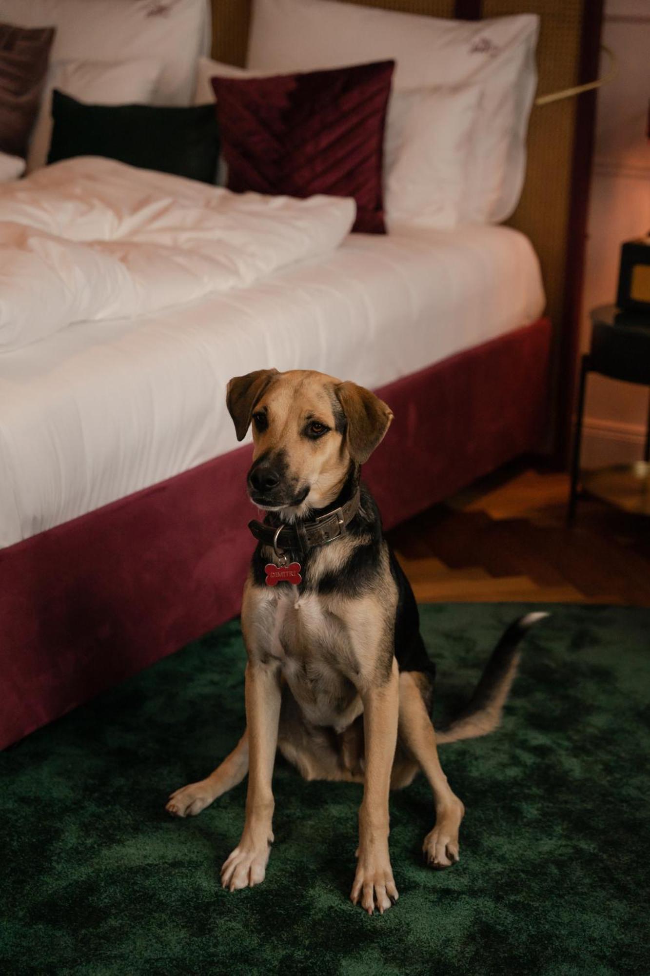 Hotel Josefine فيينا المظهر الخارجي الصورة